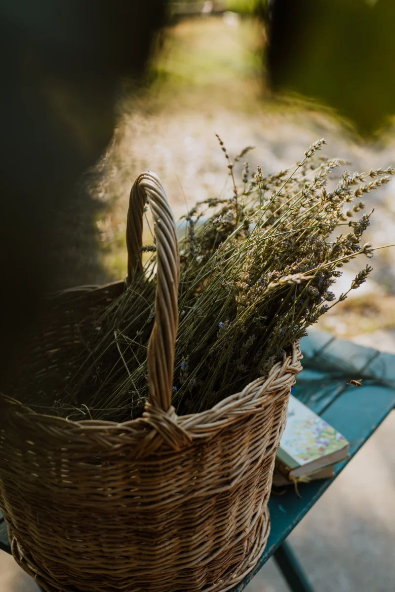 Lavender basket