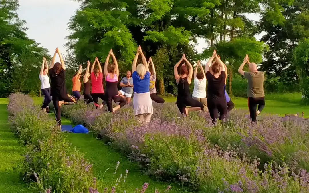 Yoga amongst the vines